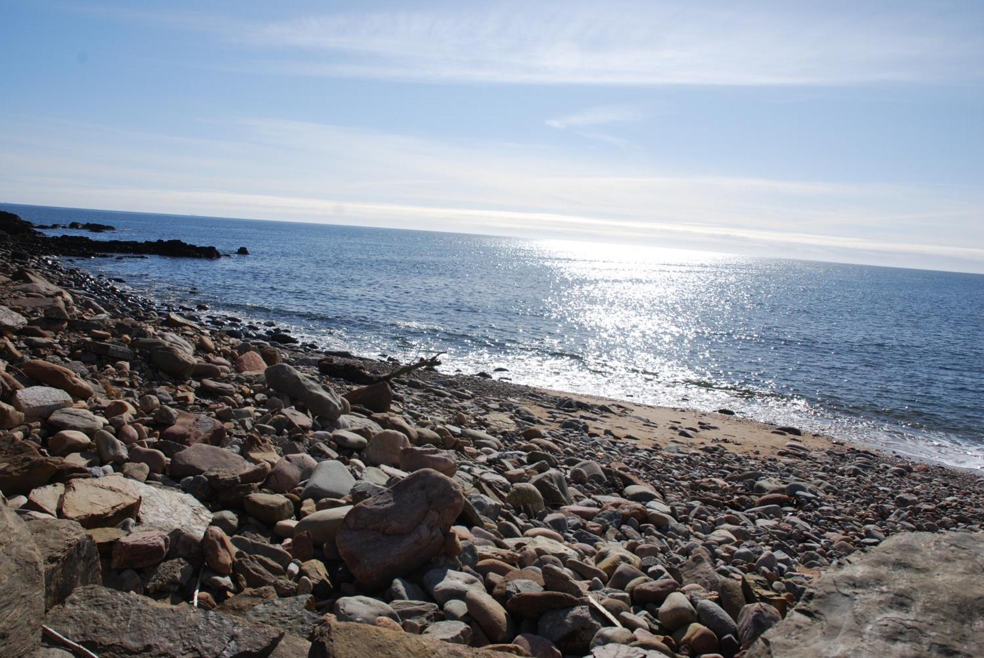 Faodail 'a Lucky Find' *