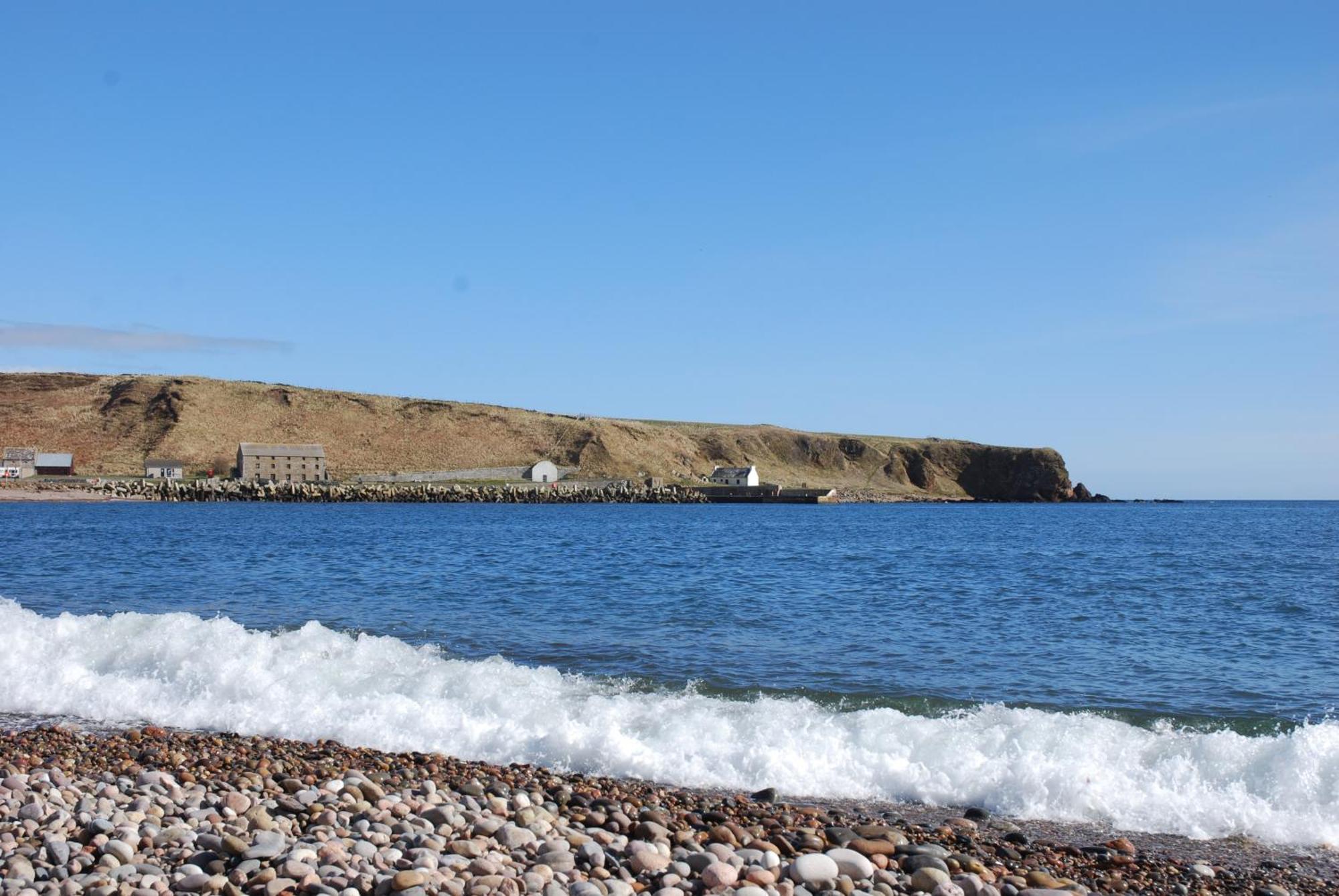 Faodail 'a Lucky Find' *